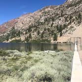 Review photo of Lundy Canyon Campground by Caity S., August 14, 2019