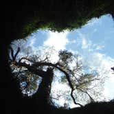 Review photo of Devil's Den Spring by Laura H., September 25, 2016