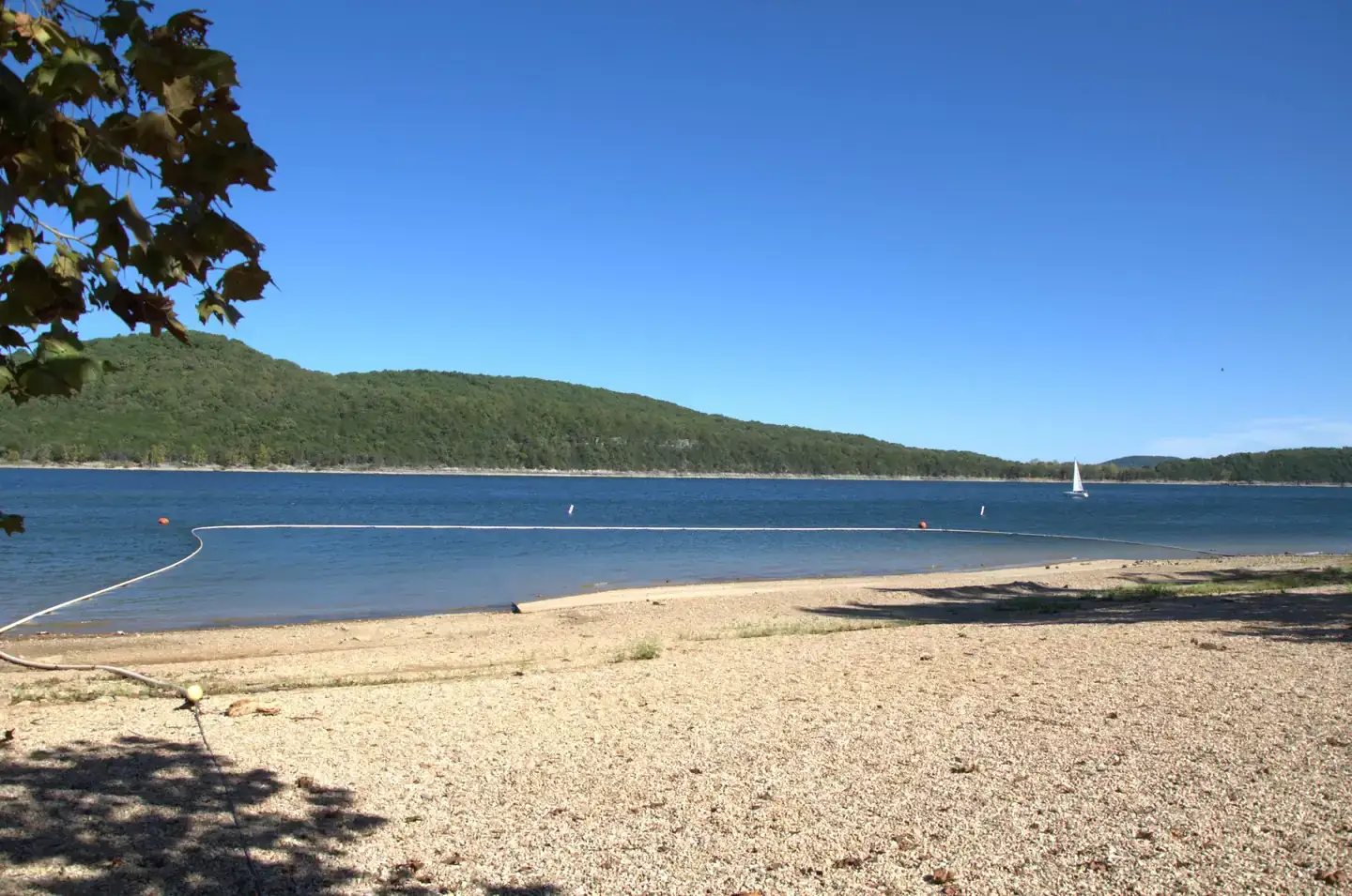 Camper-submitted photo at Campbell Point near Lampe, MO