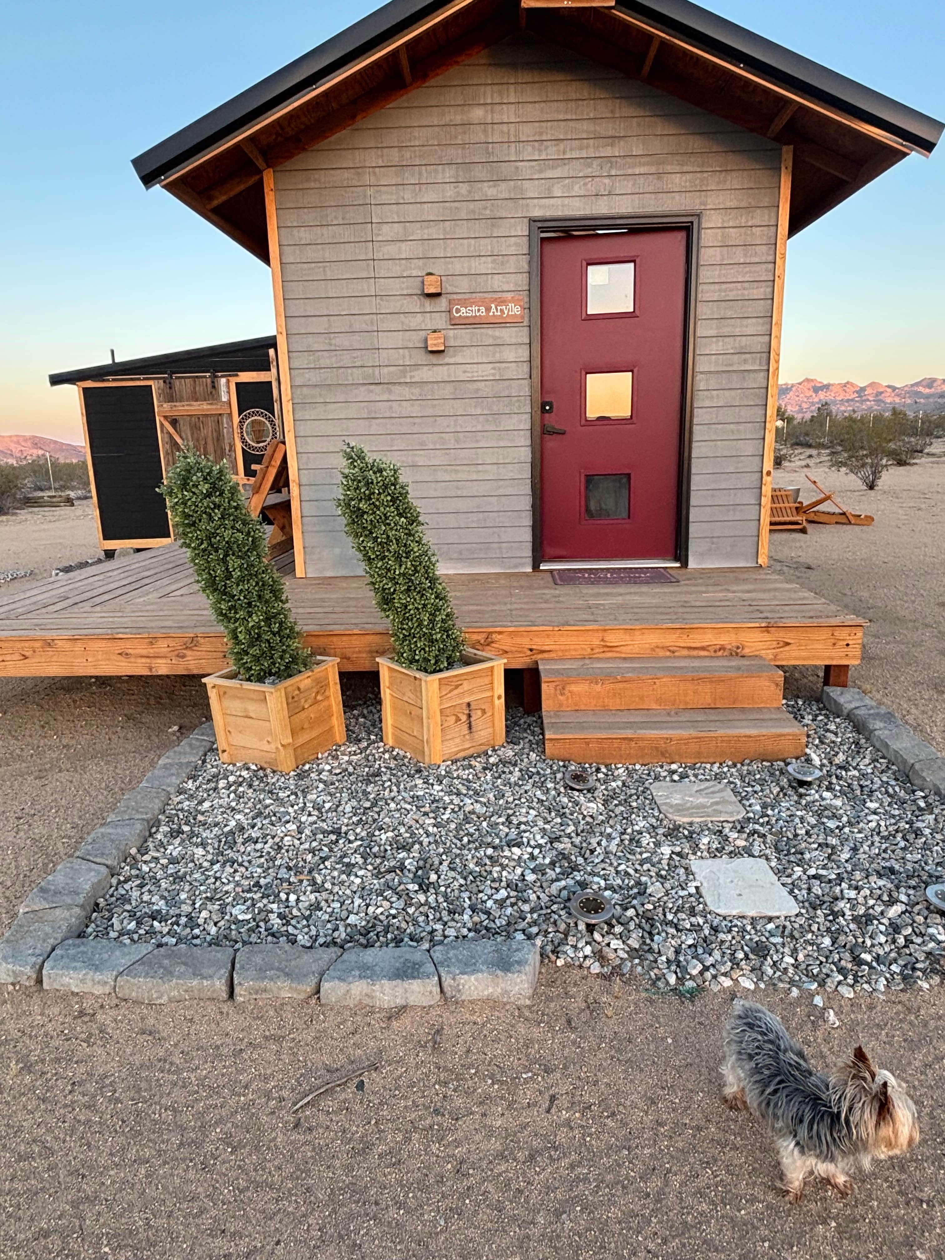 Peggy A.'s photo of camping with pets at Las Casitas Joshua Tree near Twentynine Palms, CA