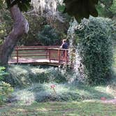 Review photo of Devil's Den Spring by Laura H., September 25, 2016