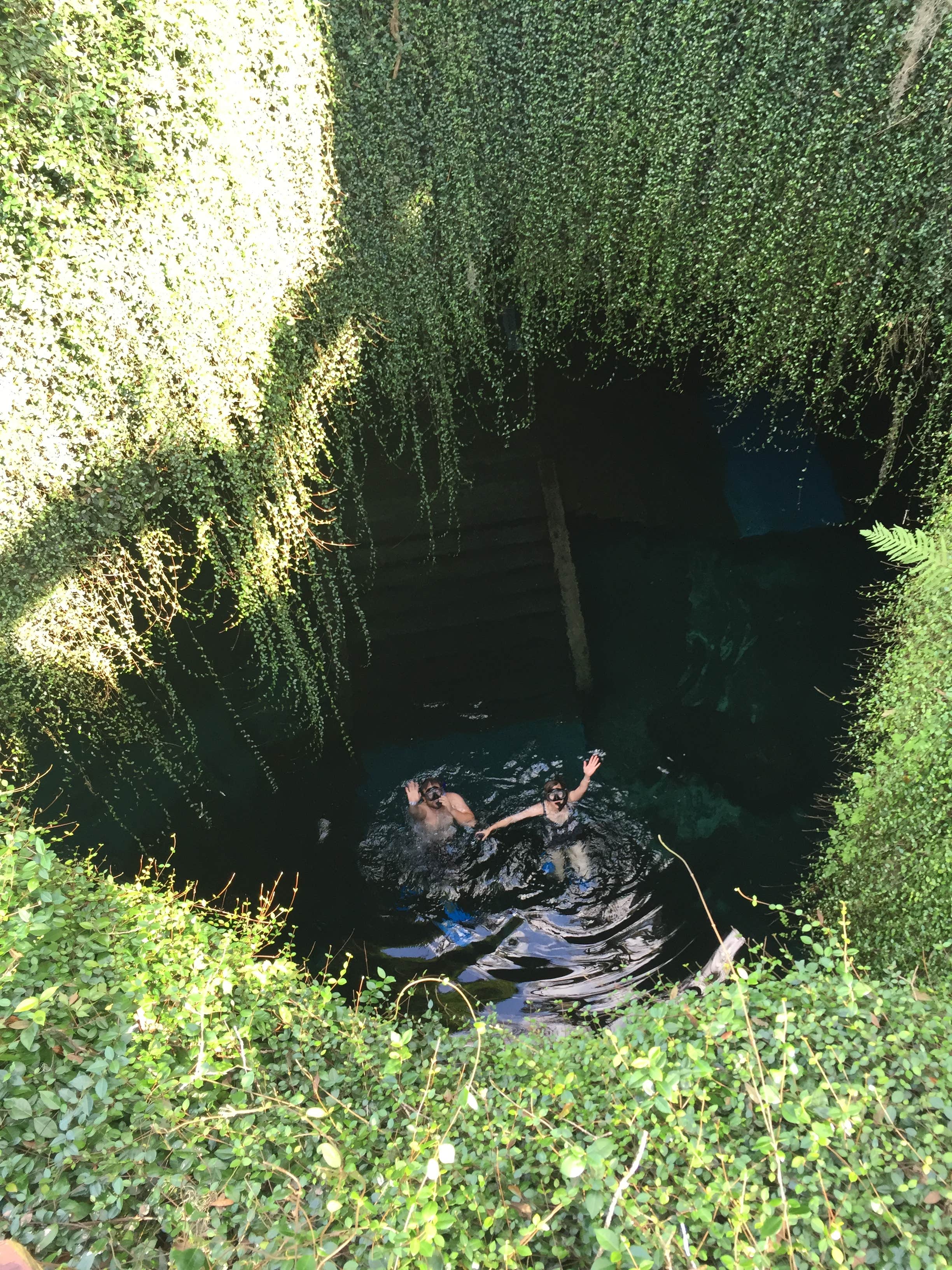 Camper submitted image from Devil's Den Spring - 4