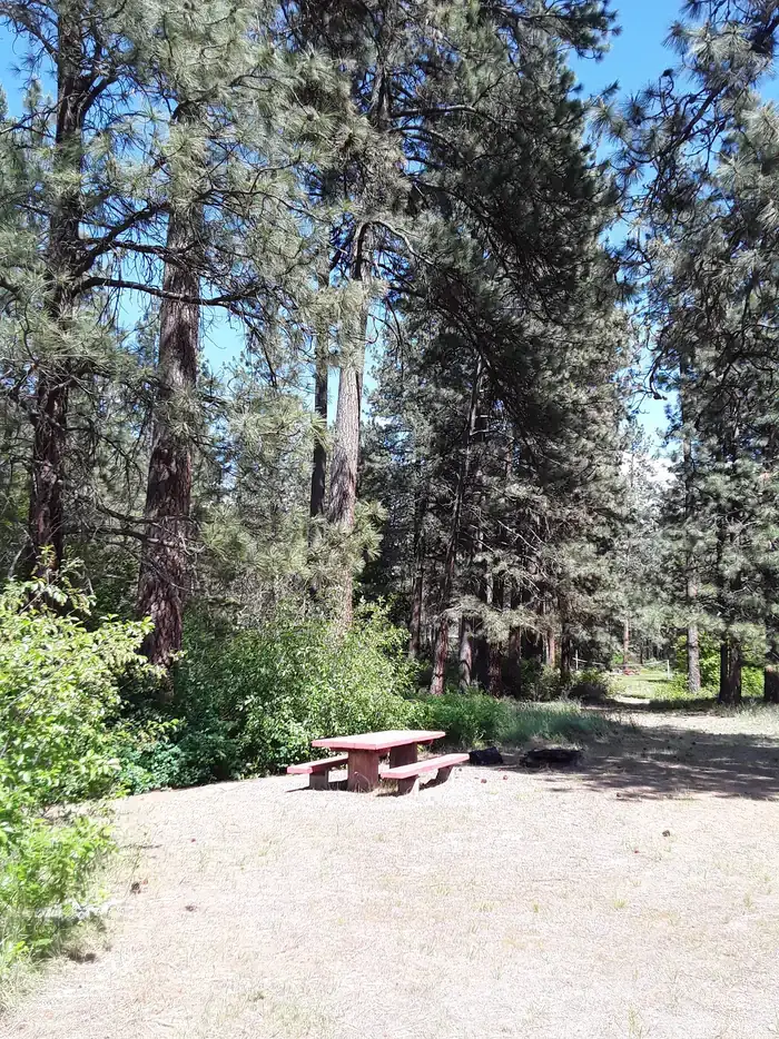 Camper-submitted photo at Sloway Campground — Lolo National Forest near De Borgia, MT