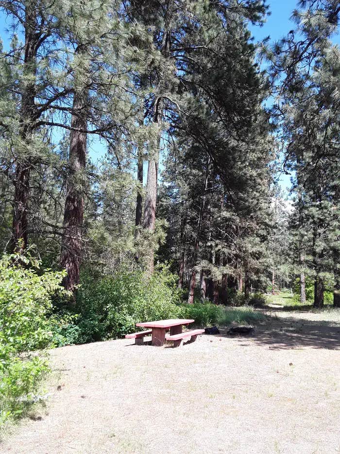 Camper submitted image from Sloway Campground (Mt) — Lolo National Forest - 1