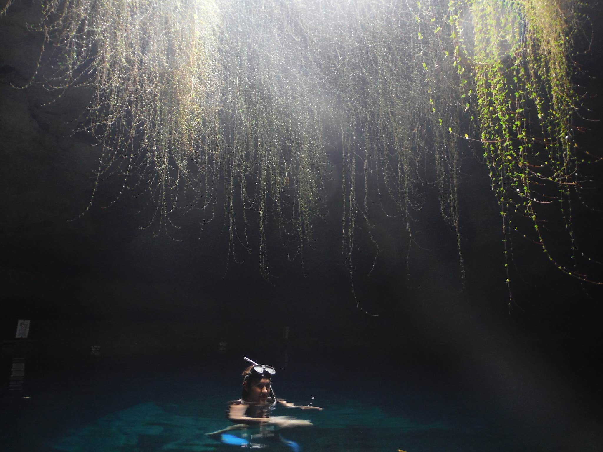 Camper submitted image from Devil's Den Spring - 1