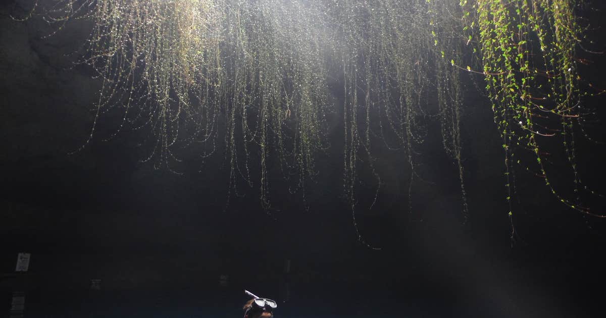 Devil's Den Spring