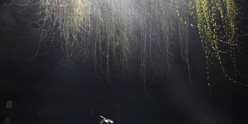 Camper submitted image from Devil's Den Spring