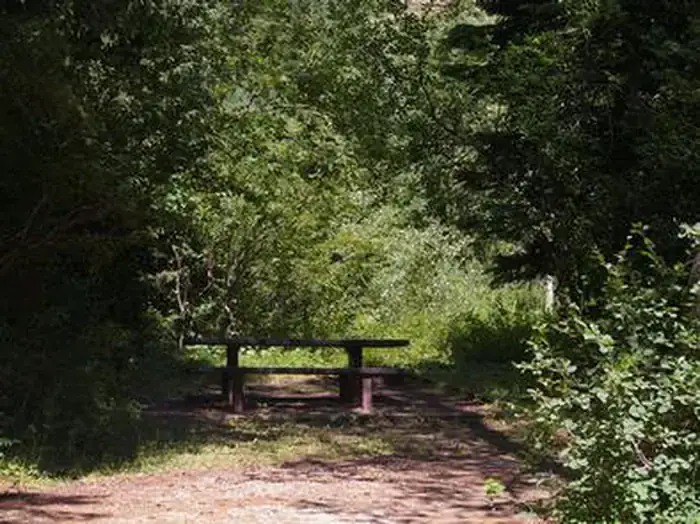 Camper-submitted photo at Trail Creek near Victor, ID