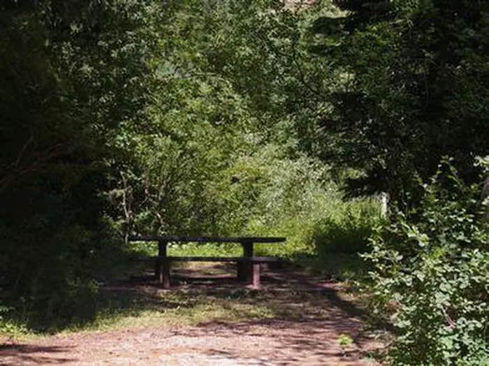 Camper submitted image from Trail Creek - 1