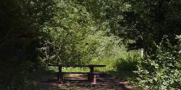 Camper submitted image from Trail Creek