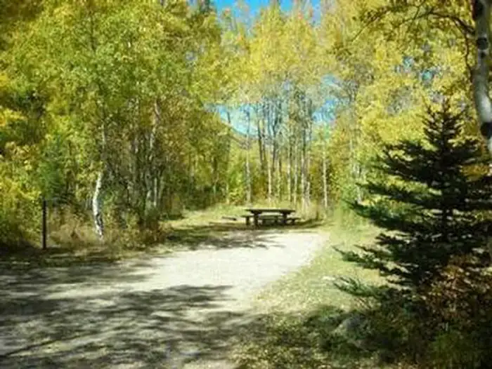 Camper-submitted photo at Difficult Campground near Crested Butte, CO