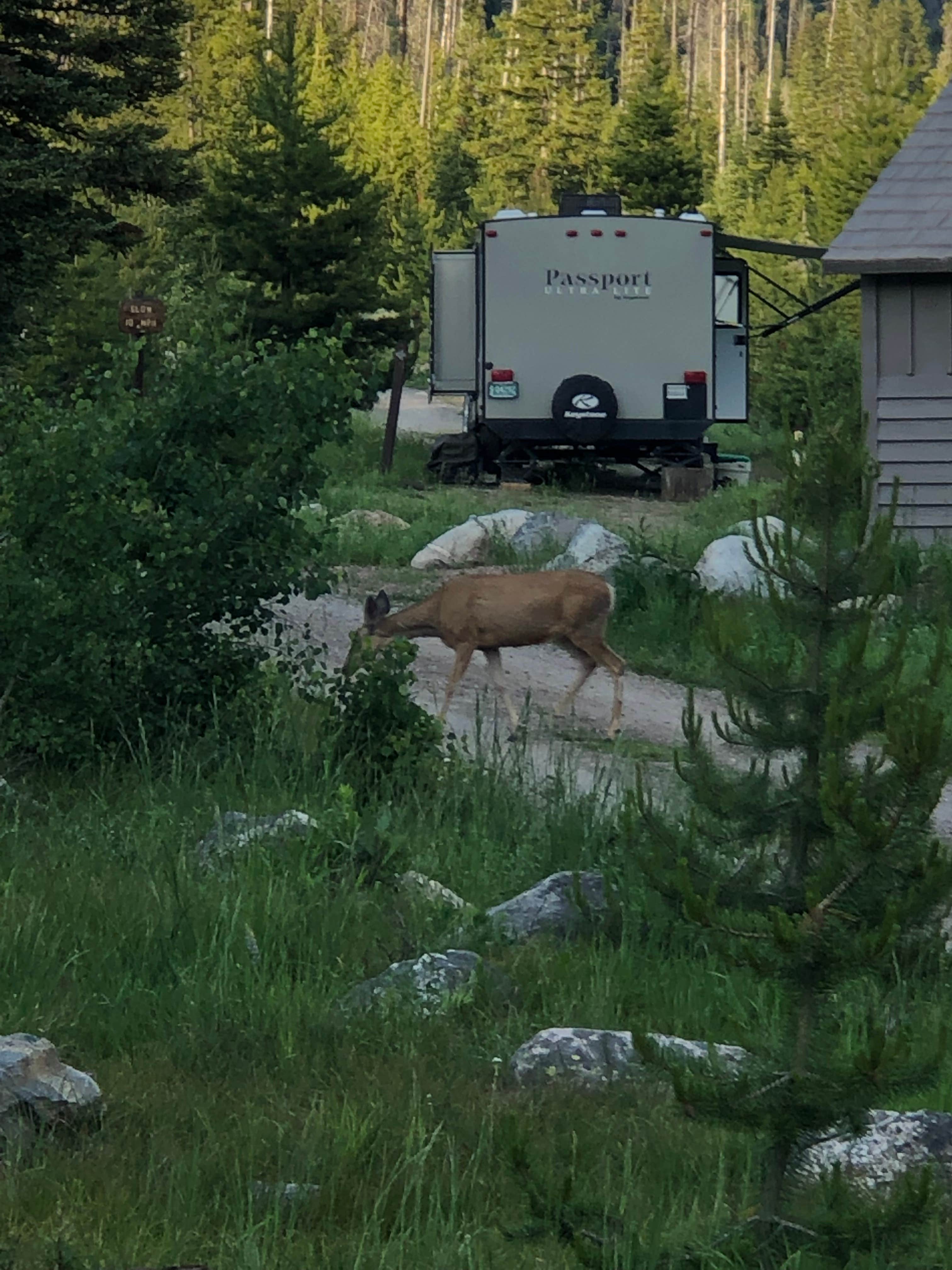 Camper-submitted photo at Seedhouse Campground near Medicine Bow-Routt National Forests and Thunder Basin National Grassland