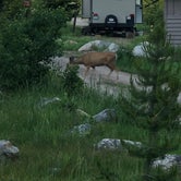 Review photo of Seedhouse Campground by Matthew V., August 15, 2019