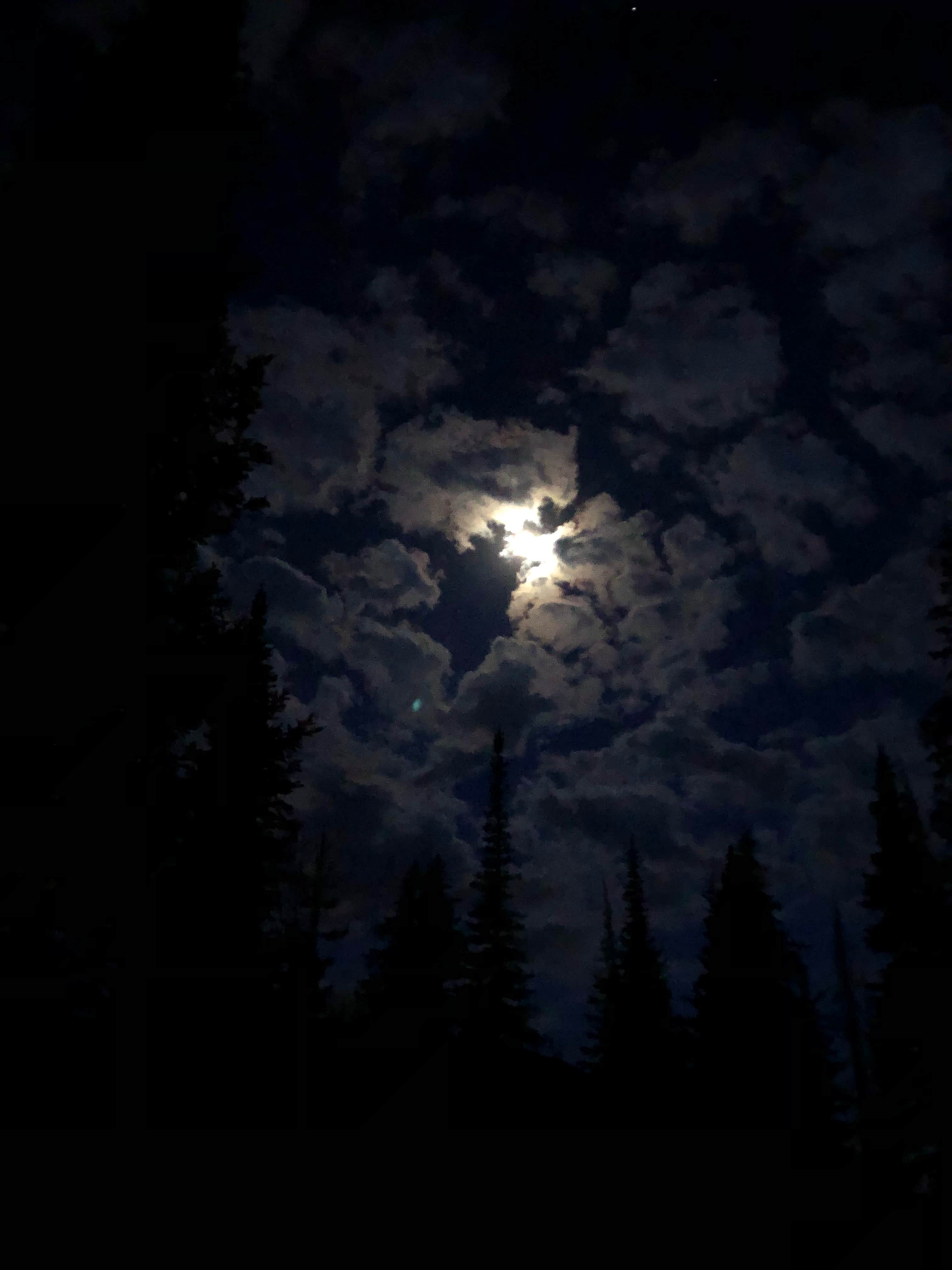 Camper-submitted photo at Seedhouse Campground near Medicine Bow-Routt National Forests and Thunder Basin National Grassland