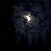 Review photo of Seedhouse Campground by Matthew V., August 15, 2019