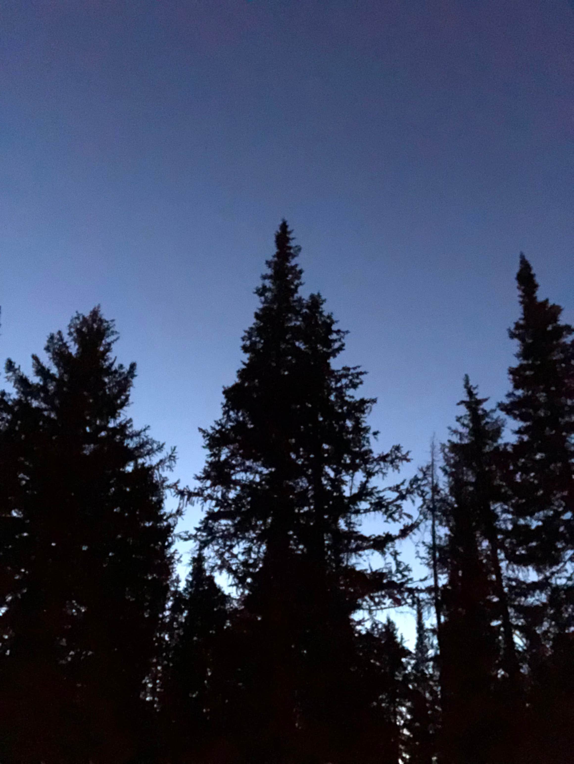 Camper-submitted photo at Seedhouse Campground near Medicine Bow-Routt National Forests and Thunder Basin National Grassland