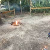 Review photo of Anastasia State Park Campground by Cynthia  F., August 15, 2019
