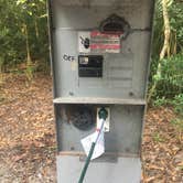 Review photo of Anastasia State Park Campground by Cynthia  F., August 15, 2019