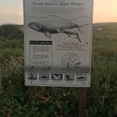 Review photo of Anastasia State Park Campground by Cynthia  F., August 15, 2019
