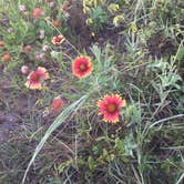 Review photo of Anastasia State Park Campground by Cynthia  F., August 15, 2019