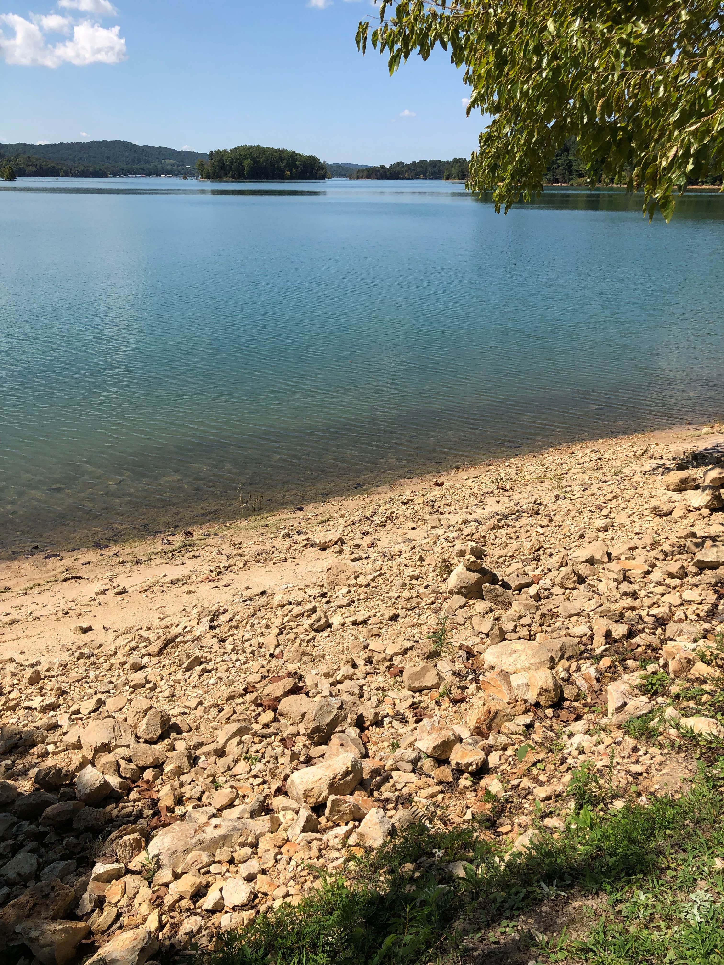 Water
