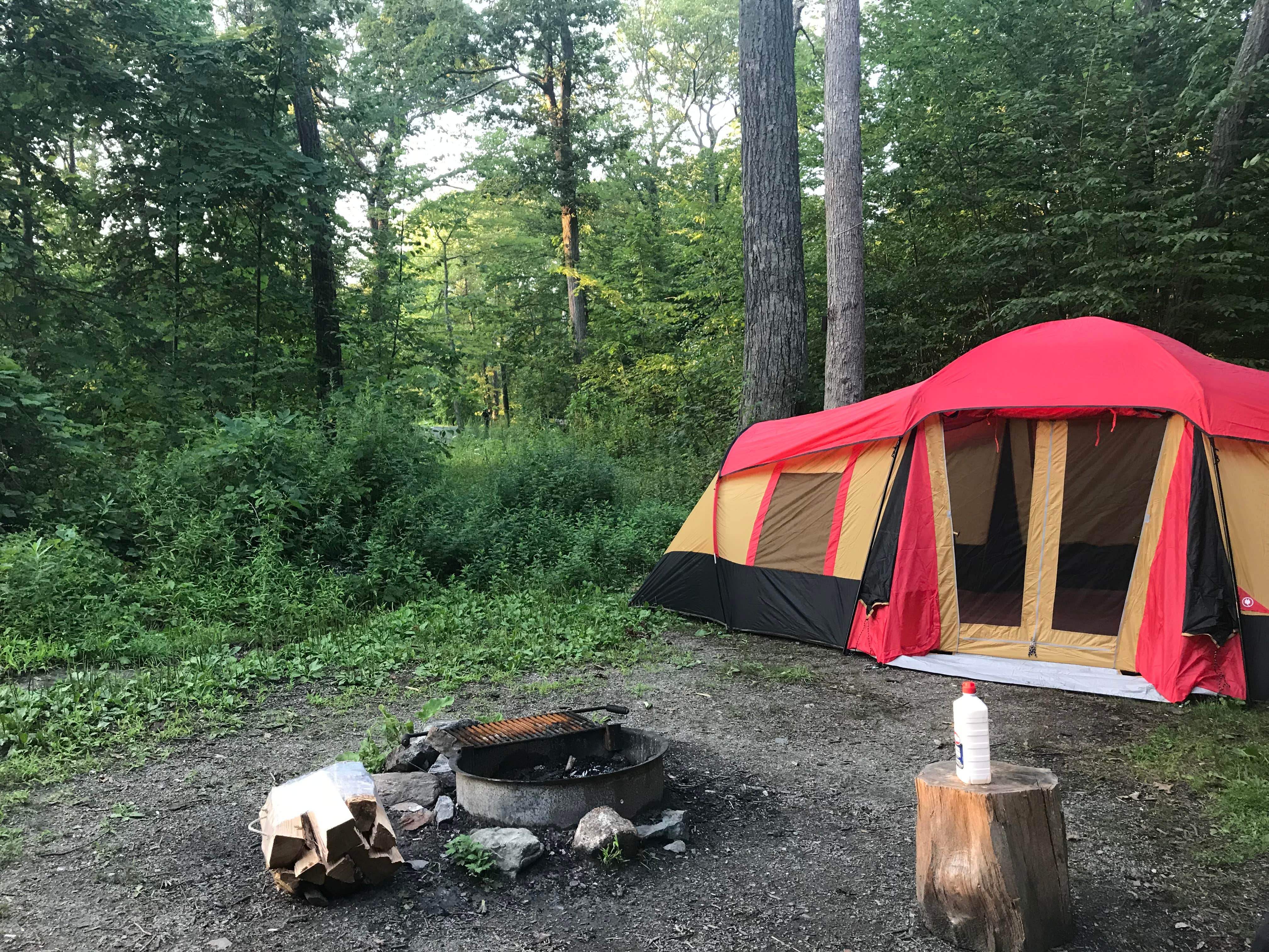 Megan B.'s photo at Clarence Fahnestock State Park Campground near Irvington, NY