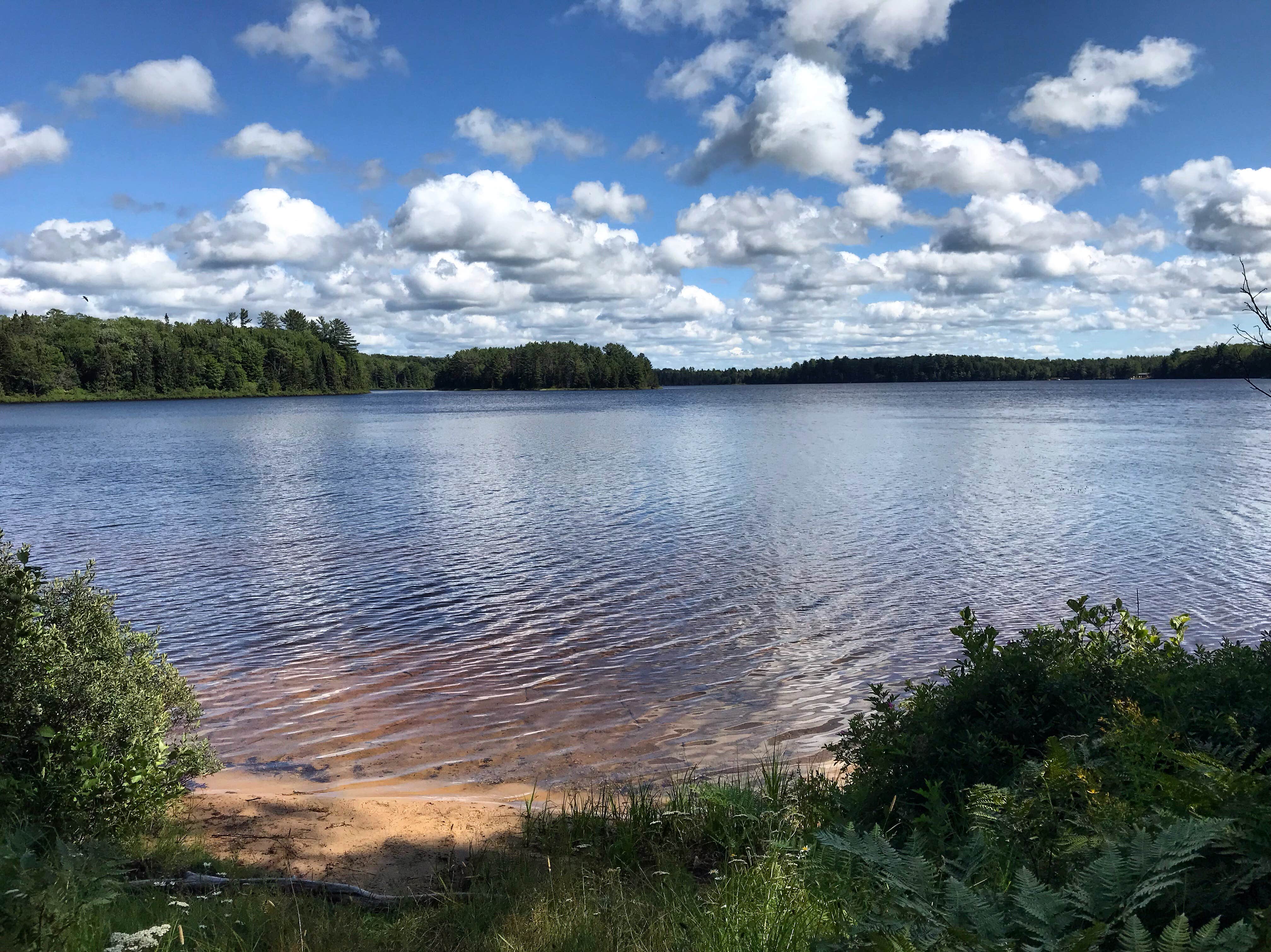 Ross Lake State Forest Campground The Dyrt
