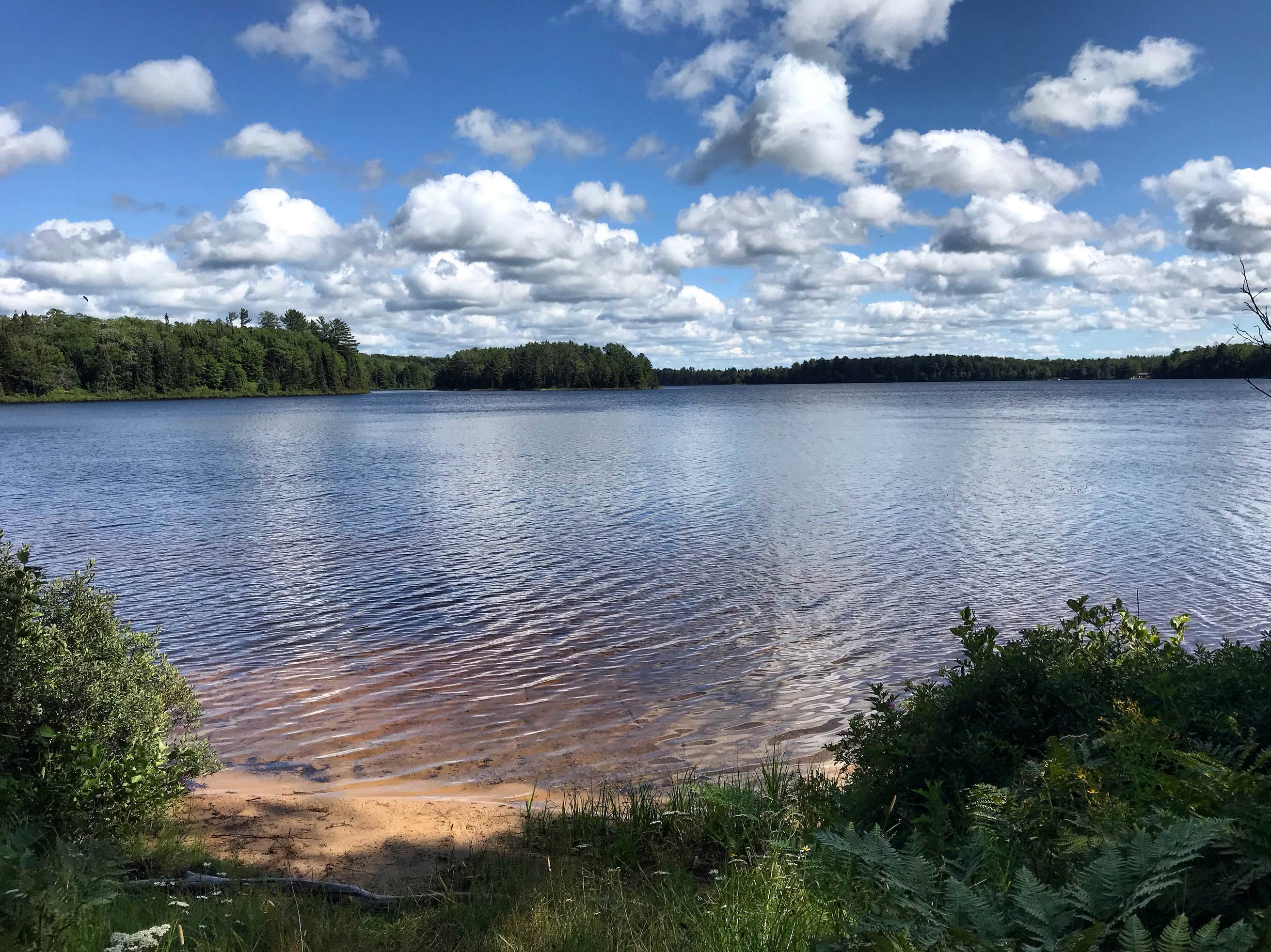 Ross Lake State Forest Campground The Dyrt