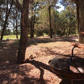 Review photo of Mountaindale Cabin & RV Resort by Eric D., August 15, 2019