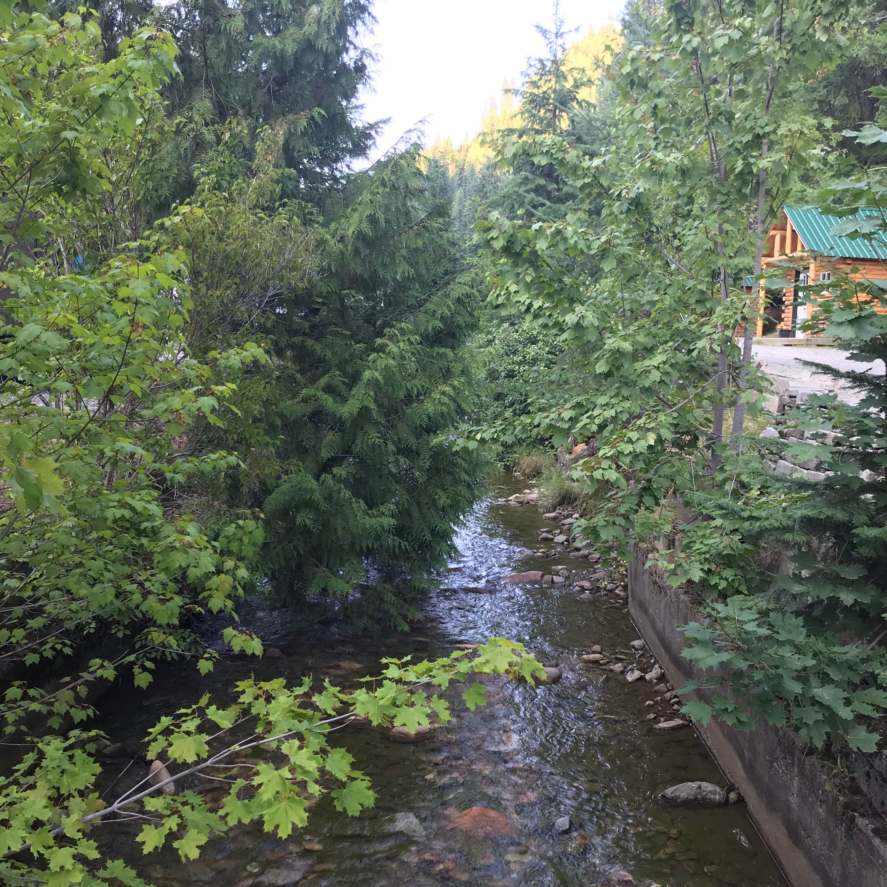 Camper-submitted photo at Wallace RV Park near Harrison, ID