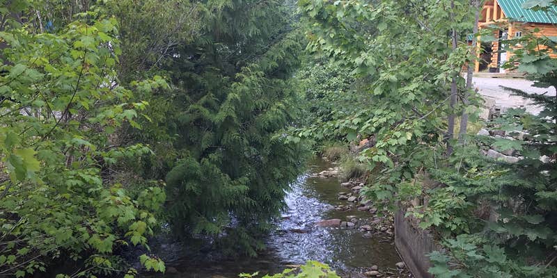 Camper submitted image from Wallace RV Park