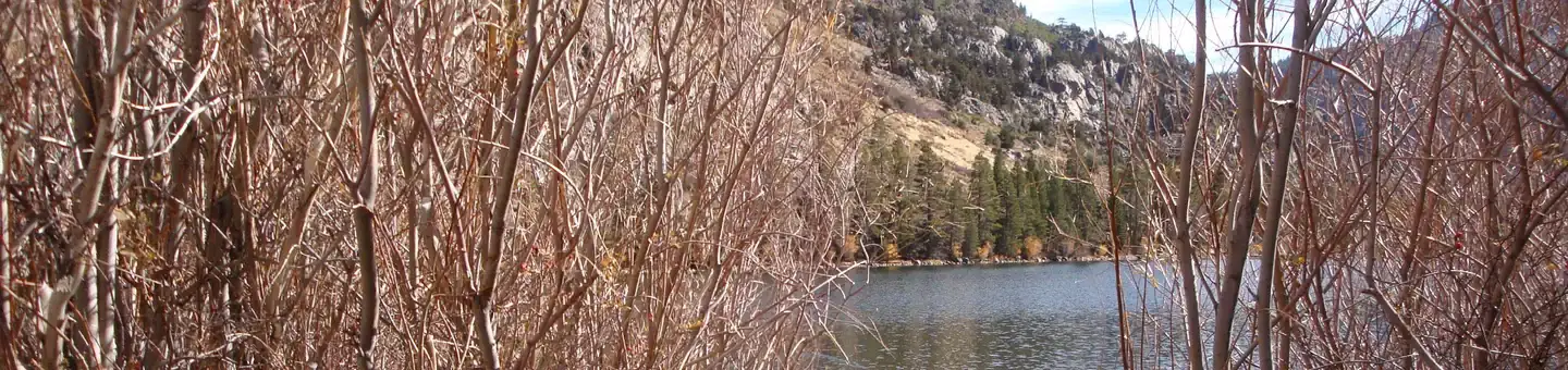 Camper-submitted photo at Silver Lake Campground at June Lake near Inyo National Forest