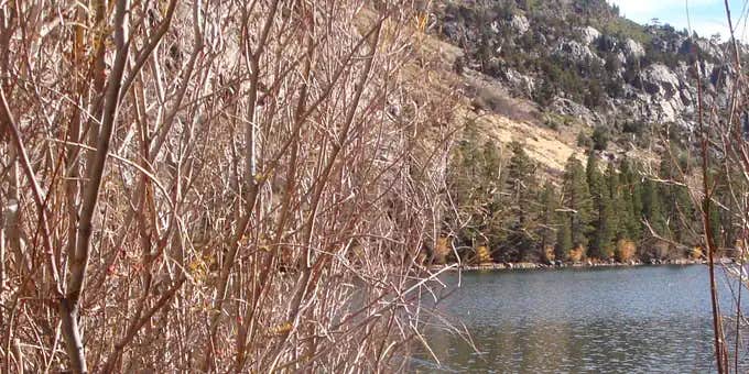Camper submitted image from Silver Lake Campground at June Lake