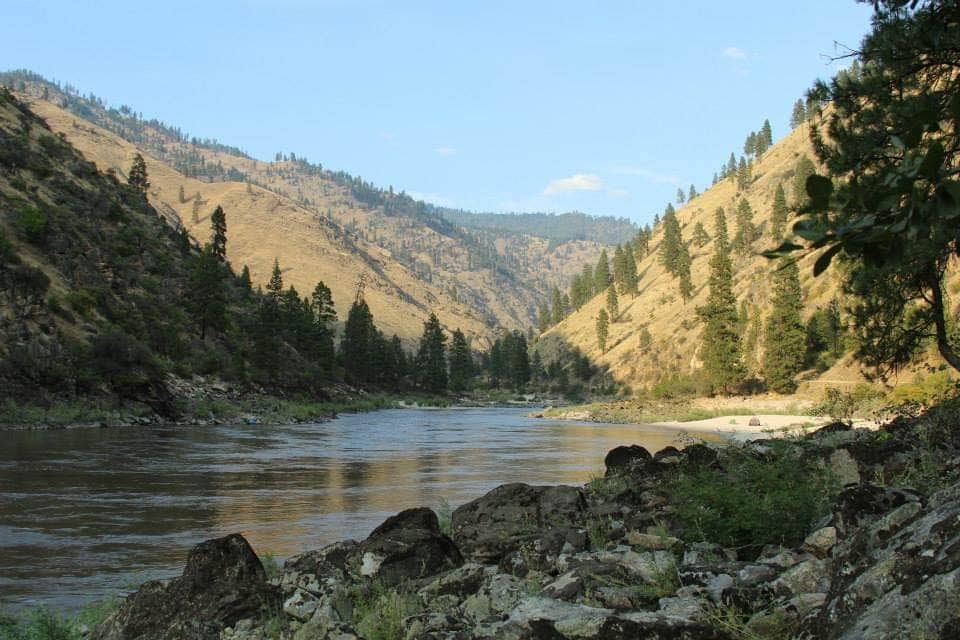 Camper-submitted photo at Island Bar Recreation Site near Pollock, ID