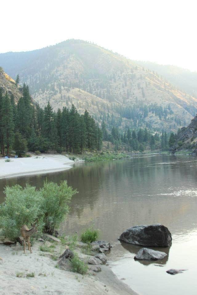 Camper-submitted photo at Island Bar Recreation Site near Pollock, ID