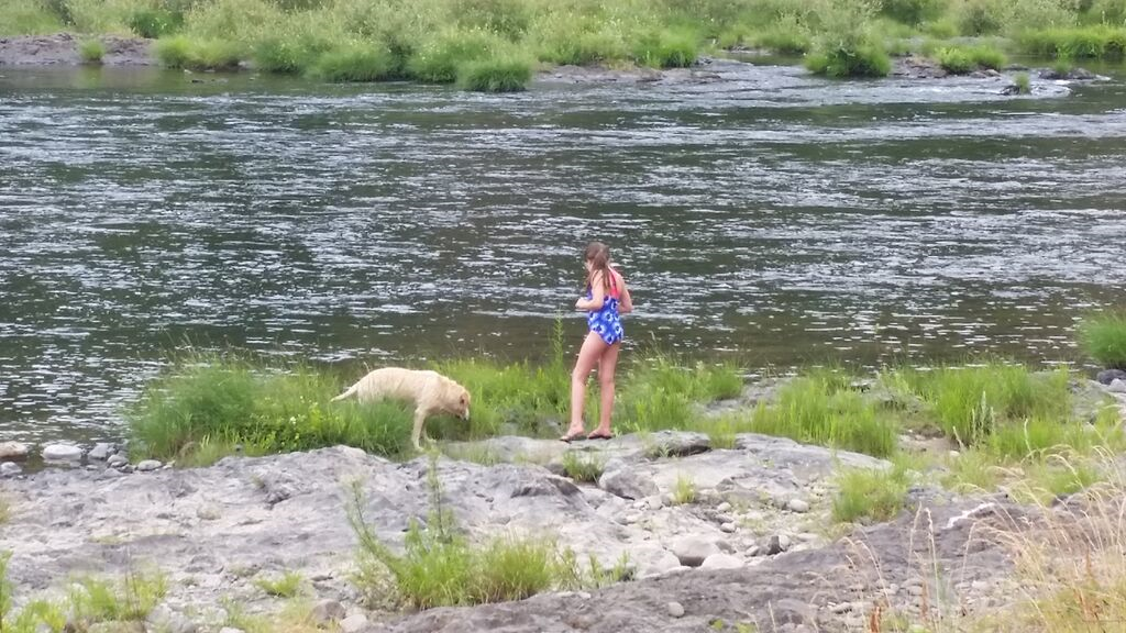 Melissa L.'s photo of camping with pets at Diamond Lake near Crater Lake National Park