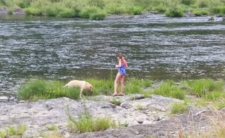 Melissa L.'s photo of camping with pets at Diamond Lake near Chemult, OR
