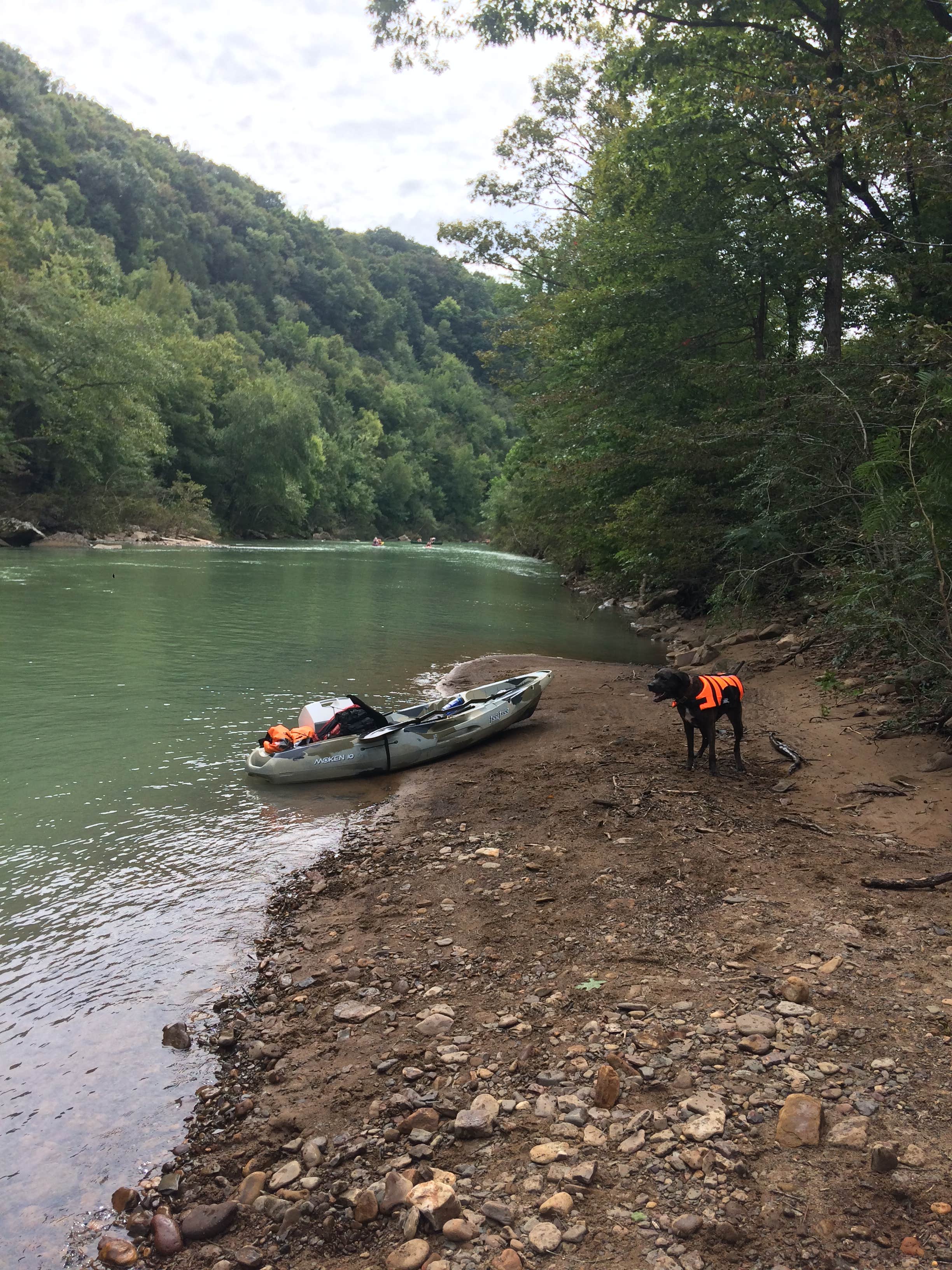 Jessica D.'s photo of camping with pets at Caddo River Access RV Park near Nashville, AR