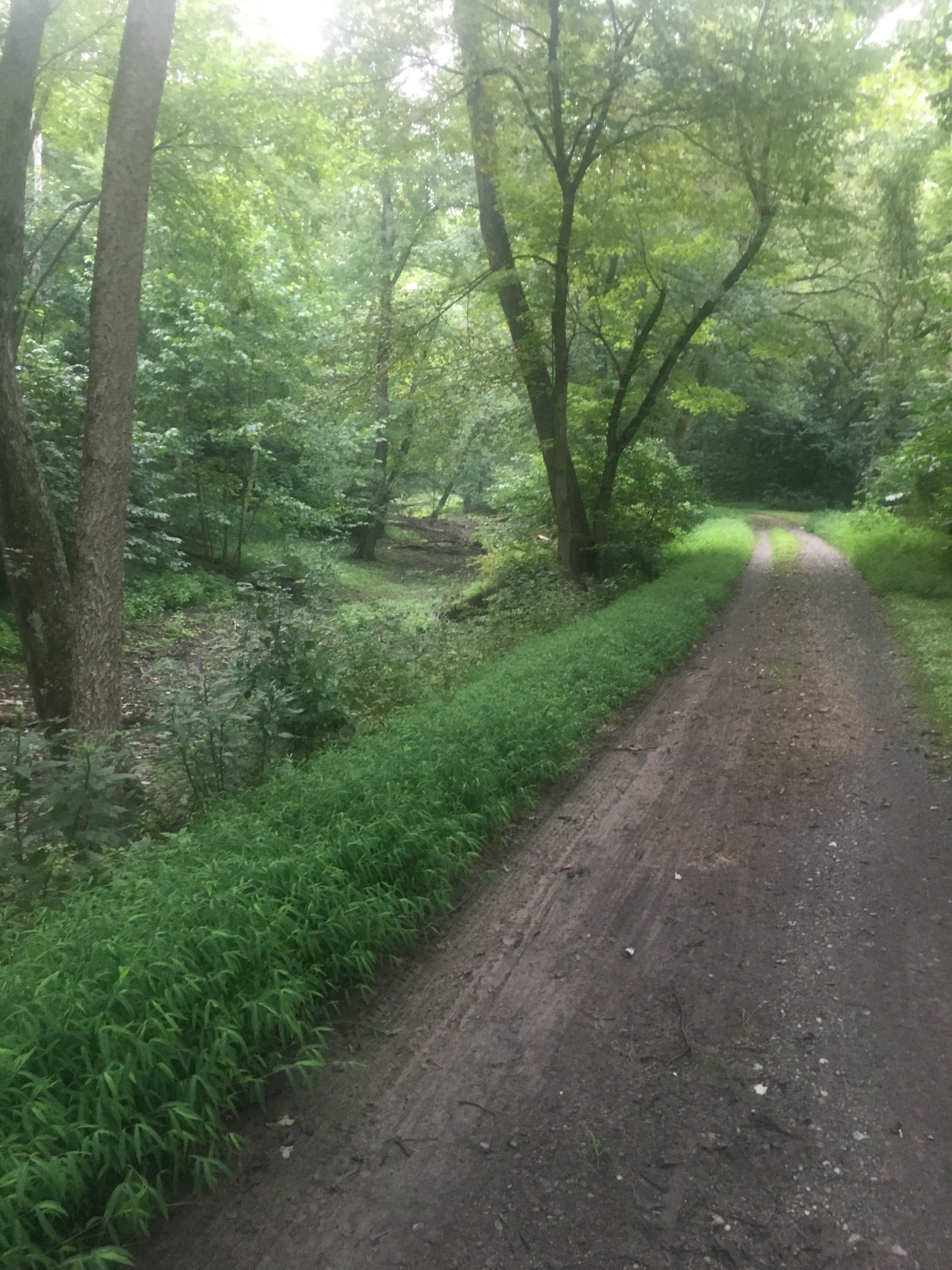 Camper submitted image from Fifteen Mile Campground — Chesapeake and Ohio Canal National Historical Park - 2