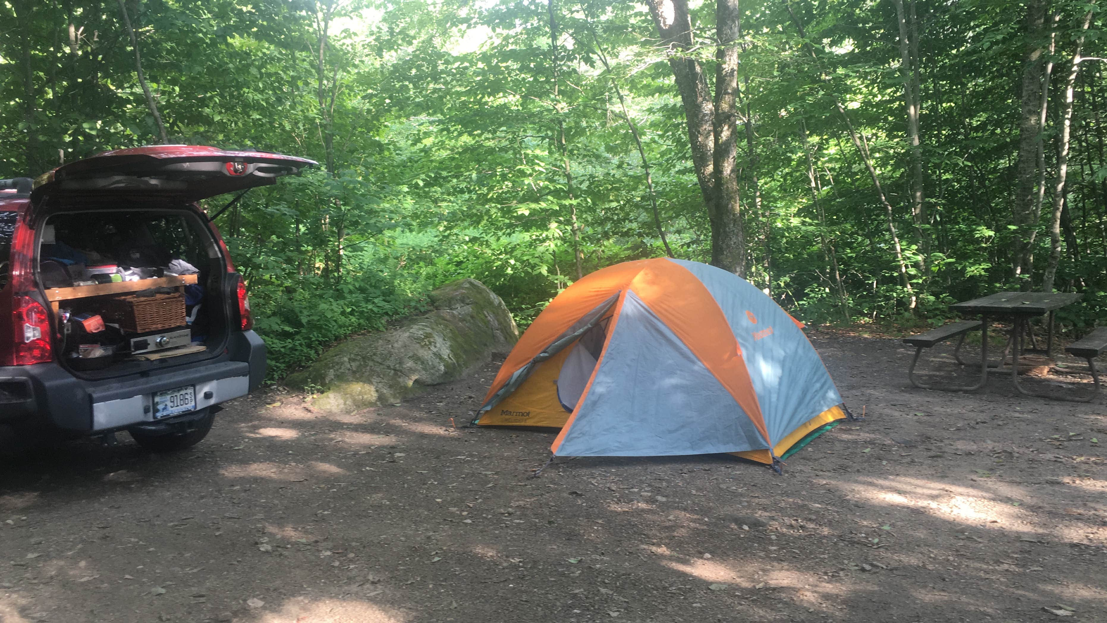 Chip G.'s photo at Woodford State Park Campground near Monroe Bridge, MA