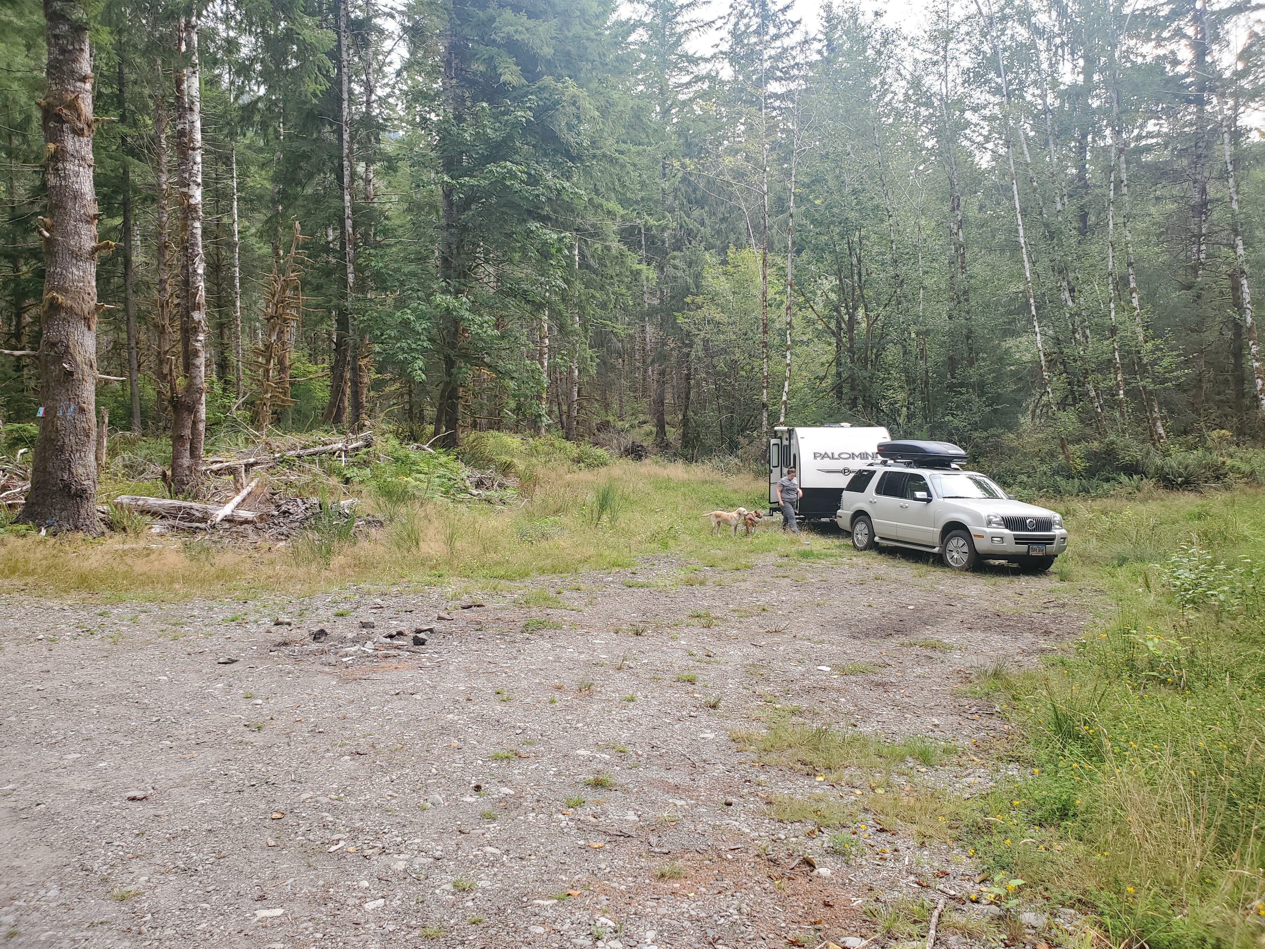 Camper submitted image from Upper Hoh Road Campsite - 2