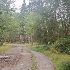 Entrance to camping area