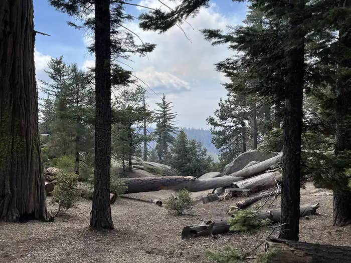 Camper submitted image from Sunset Campground — Kings Canyon National Park - 1