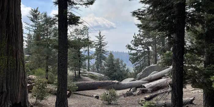 Camper submitted image from Sunset Campground — Kings Canyon National Park