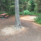 Review photo of Many Glacier Campground — Glacier National Park by Jeff B., August 15, 2019
