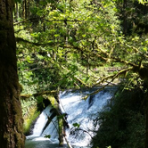 Review photo of Silver Falls State Park Campground by Melissa L., September 25, 2016