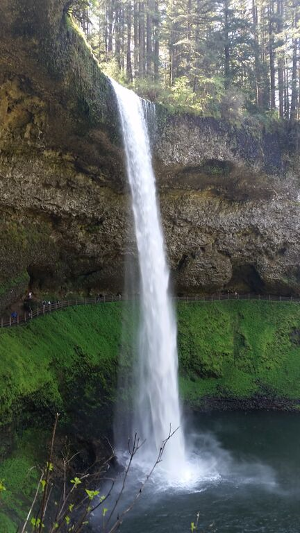 Camper-submitted photo at Silver Falls State Park Campground in Oregon