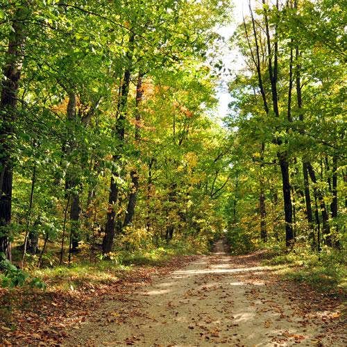 Camper-submitted photo at Plymouth Rock Camping Resort near Kiel, WI