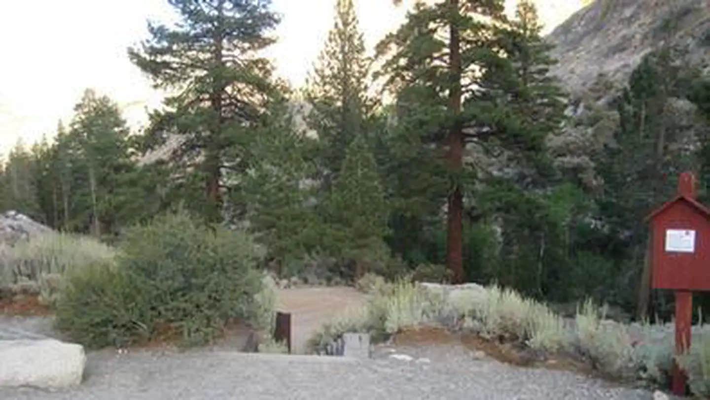 Camper submitted image from Bishop Park Group (Ca) — Inyo National Forest - 1