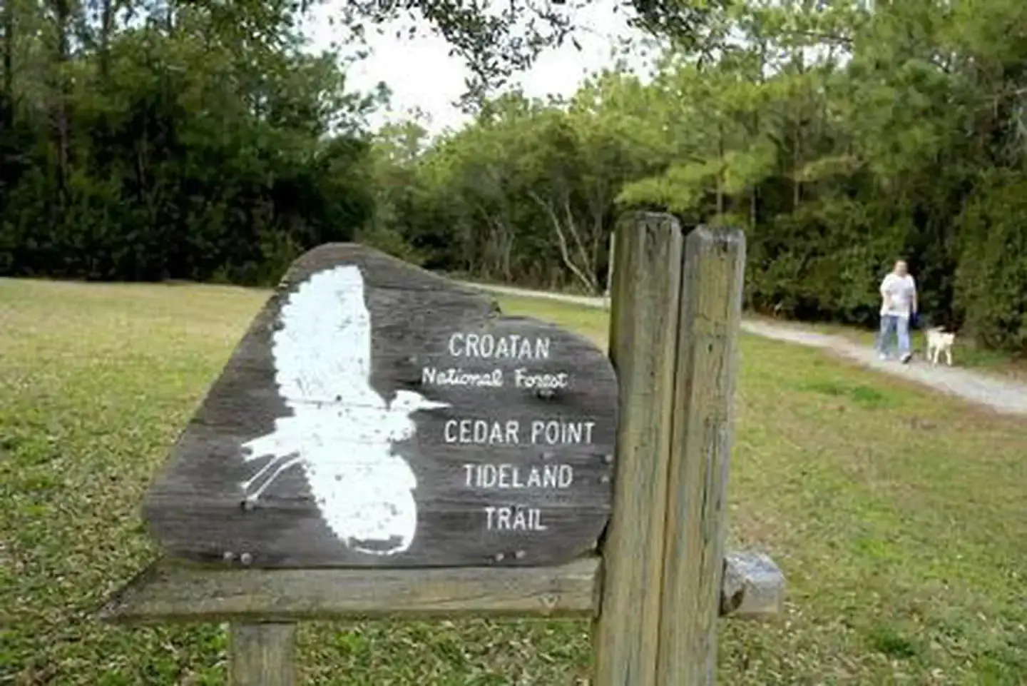 Camper-submitted photo at Cedar Point Campground near Emerald Isle, NC